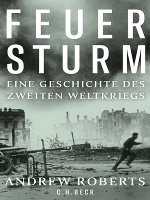 cover image of Feuersturm